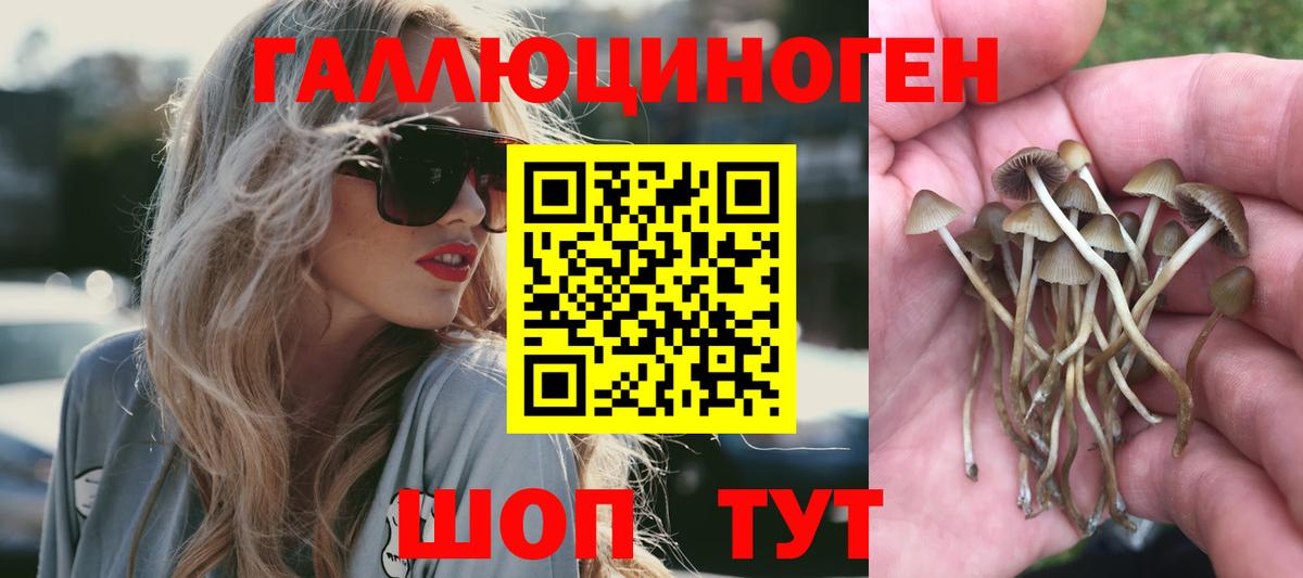 Надым  дарнет шоп  Вход с VPN  Галлюциногенные грибы Cubensis 